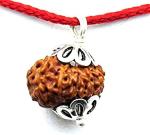 Feel Touch Mart 14 Mukhi Rudraksha Best Nepal Brown Bead Certified by Lab Thread & Silver Capping
