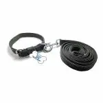 THE DDS STORE Neck Collar Belts and Leash Set Collar Width- 0.75 inch and Neck Girth Size- 34-42 cm Suitable for All Dog Small to Medium Breeds-Black