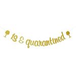 Festiko 13, Quarantined Banner, Happy 13Th Birthday Party Decorations, Cheers To 13 Years Banner, Gold Glitter