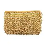 Gilded Cloud Pipe Latkan Border Lace for Dresses Sarees Lehenga Suits Dupatta Chunri & Craft Lace Reel (Single Moti)