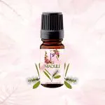 Pink Petal Niaouli Essential Oil | Melaleuca quinquenervia | Pure for Congestion, Colds, Steam, Acne, Clear Breathing | Organic, Undiluted, Aromatherapy & 100% Therapeutic Grade - 10ml
