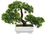 DSY Decoratinglives Green, White Plastic Bonsai Wild Artificial Plant With Pot, 27 Cm