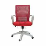ETTOREZ Home & Office Ergonomic Chair