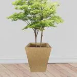 KUNDA Sand Ceramic Slant Square Planter Roto Moulded Planter, 16 X 12 X 20 Inch