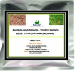 MGBN THE PATH FOR THE HEALTHIER LIFE WITH BEAUTY Bambusa Arundinacea - Thorny Bamboo Seeds 10 g (300 Seeds per packet)