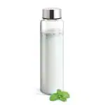 Treo by Milton Clarion Transparent Glass Water Bottle,310 ml