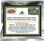 MGBN THE PATH FOR THE HEALTHIER LIFE WITH BEAUTY Peepal Tree - Bodhi Satva Tree - Arasa Maram Seeds - 50 g