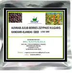Mgbn The Path For The Healthier Life With Beauty Aunnab-Jujub Berries-Zizyphus Vulgaris-Kandiari-Elandai Seed, 150 Gm