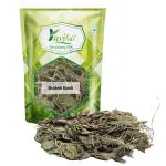 YUVIKA Brahmi Booti - Gotu Kola - Bacopa Monnieri Linn - Indian Pennywort (100 Grams)