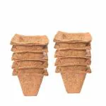 TrustBasket Coir Seedling Cups - 4 Inches (Set of 10)