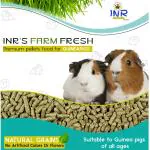 INR's Farm Fresh Guinea Pig Pellets - 1 Kg Pack