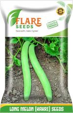 Flare Seeds Long Melon Kakri Seed 50 Per Packet