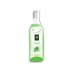 Ayurluq Aloe Vera Shampoo For Smooth & Silky Hair Dandruff Cleaner 100 ml