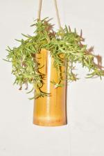 WATIKA CRAFT Wall Hanging Bamboo pots for Plants, Natural Bamboo Planter ( Set of 2 )