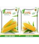 Flare Seeds Maize and Sweet Corn Seed 50 Per Packet (Pack of 2)