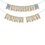 Zyozique Sweet Baby Boy Banner - Sweet Baby Boy Shower Decorations, Baby Shower Decorations