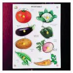 Joginnder Agencies Wooden Vegetables with Picture Educational Board for Kids | Hand and Eye co-Ordination Puzzle Board | Toddlers First Learning Toy | Pre-School Kids Toy 2 to 5 Years (Pack of 2 Pc)