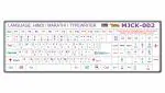 STICKER BAZAAR Hindi / Marathi / Typewriter Keyboard Sticker Small Size Pack of 2 For Computer / Laptop, White Background with Coloured Lettering
