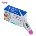 Amkay Digital Thermometer