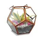 Trustbasket Multicolor Geometric Terrarium (1)