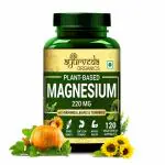 Ayurveda Organics Magnesium - 120 Capsules