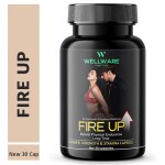 WELLWARE 100% Ayurvedic Fire Up stamina , Power & Timing for Men (30 Capsules )