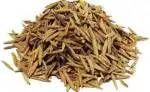 Tamransh Portia Inderjo Seed, 100 Seeds