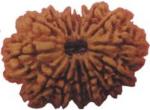 Feeltouchmart Brown Wood 15 Mukhi Rudraksha Beads Hgj00-1001-2720