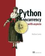 Computer Book Shop Python Concurrency With Asyncio Matthew Fowler Paperback 325 Pages