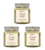 Slayzo Citrus Shine Plant Based Hair Powder Mix For Revitalizing Hair & Enhancing Shine 300 g (100g X 3 Pack)