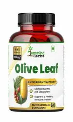 Humming Herbs Olive Leaf & Fruit Extract 1200mg - Advanced Immune Support with Astragalus & Echinacea - 60 Capsules