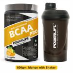 PowerLift BCAA Pro with Shaker, Muscle Recovery with Glutamine & Electrolyte (600gm Mango)