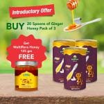 ARYAVRAT -Ginger- Adrak Honey Spoon 100% Pure Organic and Natural Pack of 20 Honey Spoons -Buy 3 Bottles and get Free 125g ARYAVRAT Organic Raw Multiflora Honey