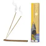 PHOOL - Natural Incense Sticks - Nagchampa I Pack of 40 Sticks | Phool Luxury Incense