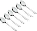 T-KA108 Divine Coffee Spoon Set of 6 Pcs Stainless Steel Coffee Spoon Set (Pack of 6)