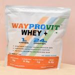 Wayprovit Whey Protein Muscle Building, Bone Strength, Immunity, Healthy Skin (200g PET Pack, Rabadi)