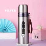 Denzcart Premium Vaccume Flask Double Layer