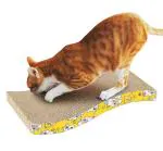 PSK Pet Mart Cat Scratch Pad