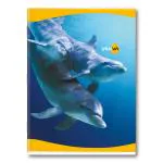 Youva Navneet| Soft Bound Notebook| 18 cm x 24 cm| Unruled| 172 Pages| Pack of 12
