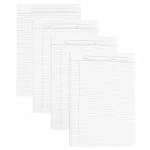 REDGE Project Sheet A4 Ruled One Side White Pack of 40 Sheets 90 GSM For Project & Assignment Practical Class Work