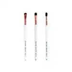 Boujee Beauty 3Pcs Eye Makeup Brush Combo for Eyeshadow Blending