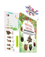 Mgbn The Path For The Healthier Life With Beauty Growable Seed Balls Of Muskdana Musk Mallow, Ambrette, Kattu Kasturi 1 Gift Box 10 Seed Balls With Red And Green Amaranthus Seeds