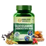 Himalayan Organics Glucosamine Chondroitin MSM with Boswellia | For Bone, Joint & Cartilage Support | 120 Tablets