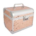 Clarabae Vanity Box for Women Makeup Organizer Box Clip-and-Go Makeup Bag with Detachable Tray & Mirror Elegant Closure Professional Travel Makeup Case Portable Artist Cosmetic Organizer Storage Bag (Rose Gold)