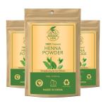 Khadi Ark Bio Organic Herbal Henna Powder (300 g)