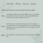 INRIA Lip balm Dew Kissed - 5gm |100% Natural Made with Almond Oil and Shea Butter pack of 3