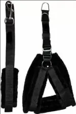 Hundur Store Premium Soft Padded Nylon Dog Harness (1inch) (NOT for Puppies) & Leash Rope Medium in black color