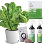 Pot and Bloom Gardening Kit - Spinach Kit. Perfect for Home Garden, Includes - Seeds, Garden Pot, Potting Mix, Nutrition & Protection Spray. Gardening Tools Kit For Home Garden, Home Garden Set