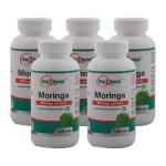 Way2Herbal Moringa Leaf Extract Tablets 500 mg 120 Tablets (Pack of 5)