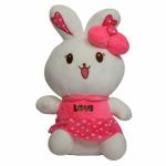 ZYEPE Bunny Dolls Soft Toy for Girls Soft Toys for Baby Girl